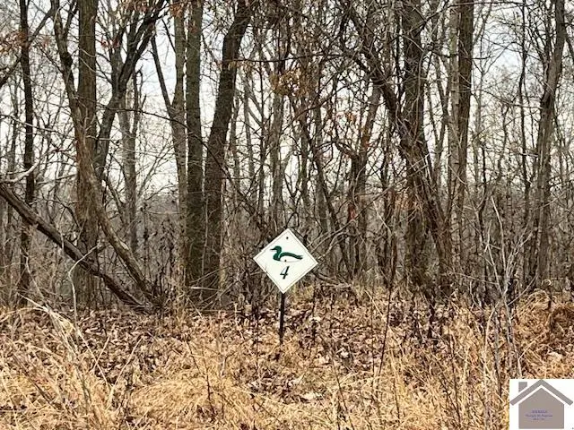 00 Pelican Way, Cadiz, KY 42211 - #1