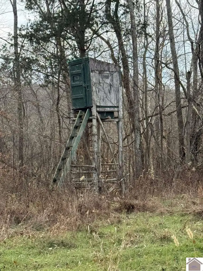 2053 Princeton Olney Rd, Princeton, KY 42445 - #1