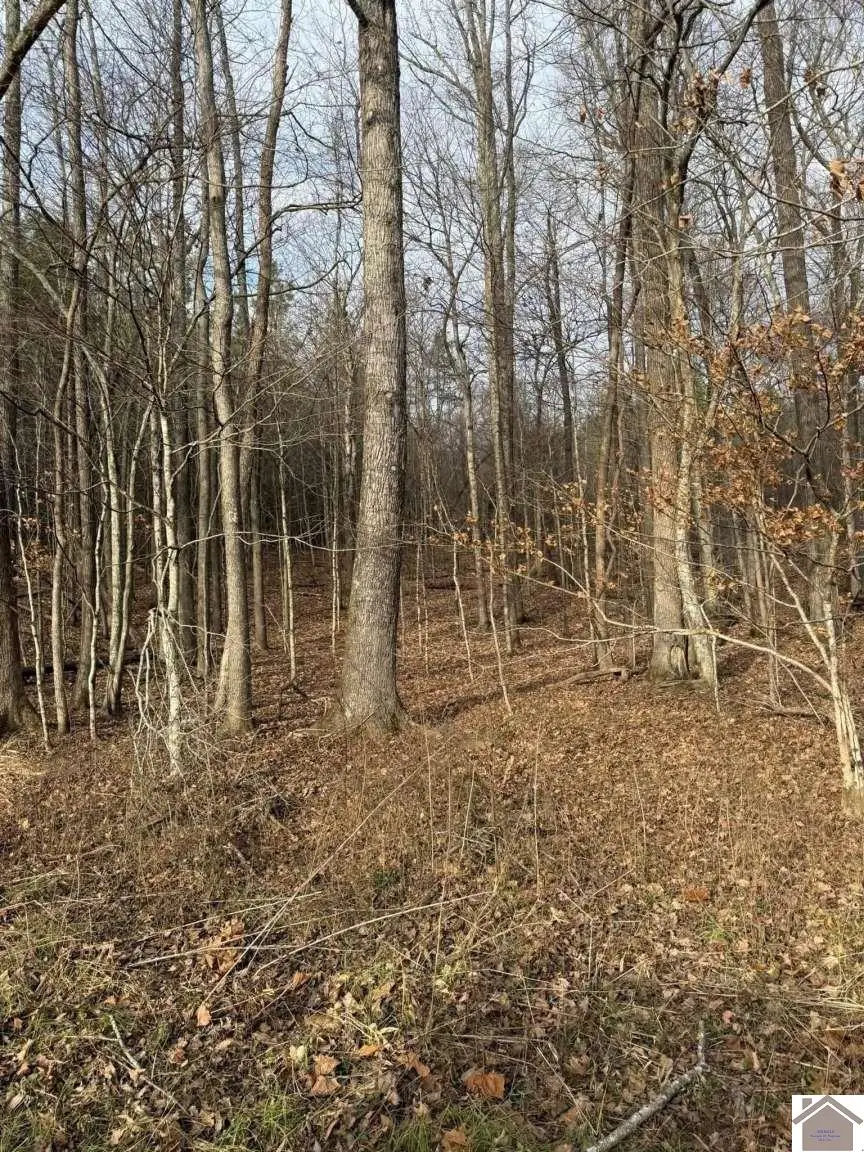 2053 Princeton Olney Rd, Princeton, KY 42445 - #2