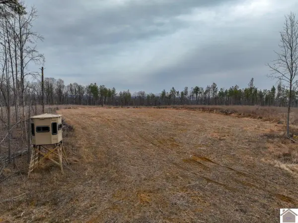 000 Cedar Grove Road, Salem, KY 42078