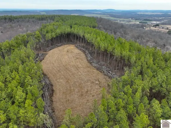 000 Cedar Grove Road, Salem, KY 42078