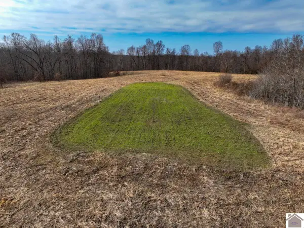 000 State Route 723, Marion, KY 42064