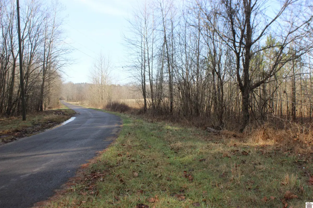 000 Blackburn Church Rd, Marion, KY 42064 - #1