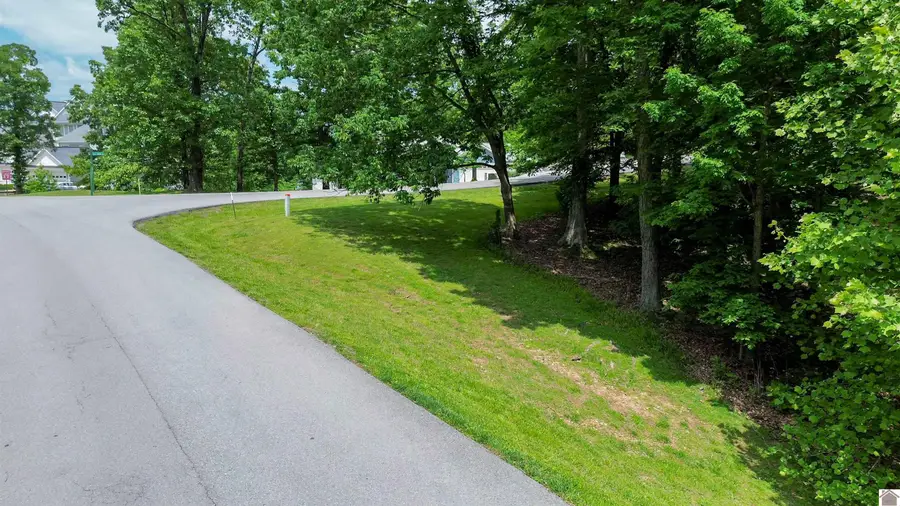 Lot 38 Marina Village Dr, Grand Rivers, KY 42045 - #3