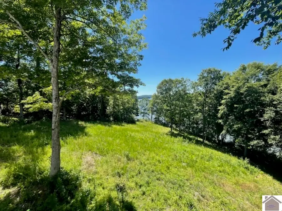 Lots 10-11 Pollard Circle, Cadiz, KY 42211 - #2