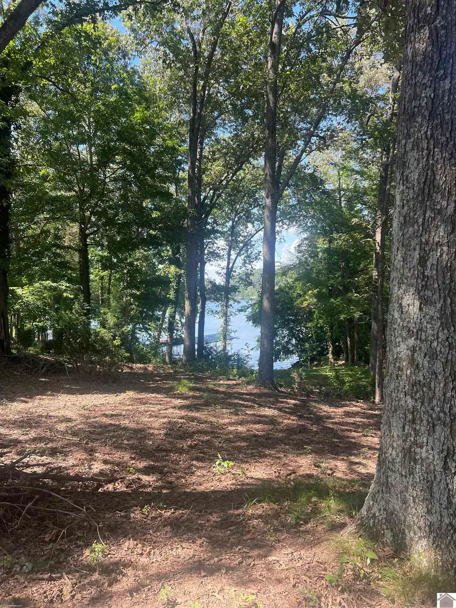 510 Carriage Cove Road, Cadiz, KY 42211 - #3