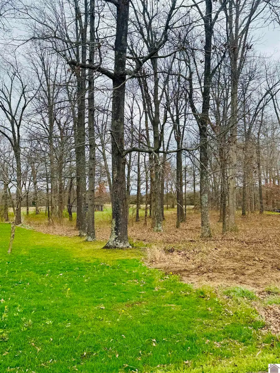 00 Bill Butler Rd, Hardin, KY 42028 - #3