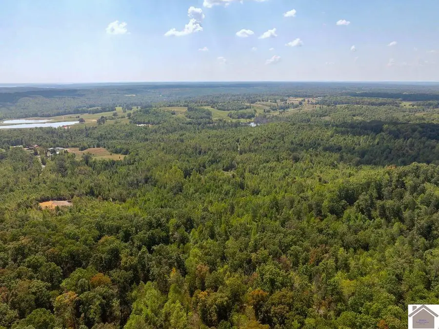 0 Billie Branch Rd, New Concord, KY 42076 - #3