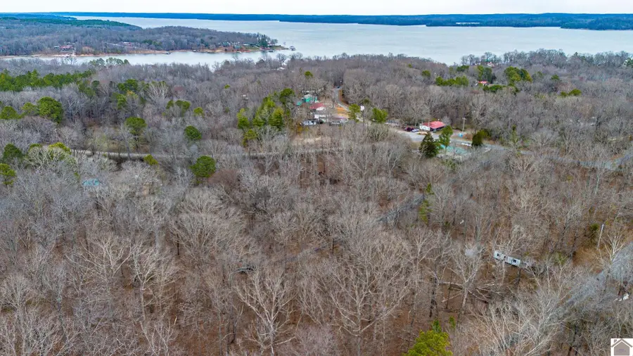 000 Mussel Ln, New Concord, KY 42076 - #3