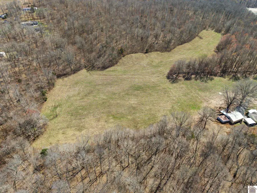 000 Highway 1271, Kuttawa, KY 42055 - #2