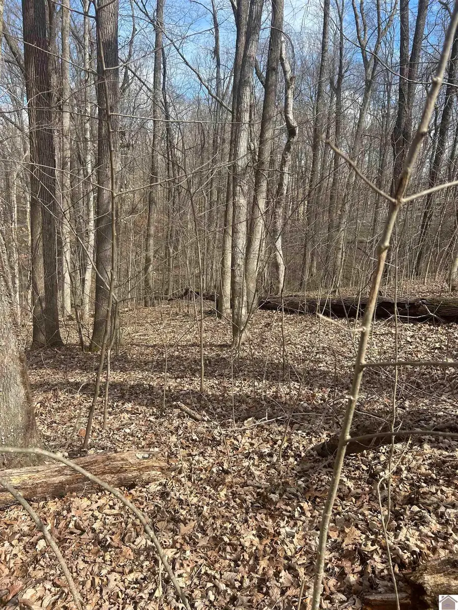 Rockcastle Shores 26 I, Cadiz, KY 42211 - #3