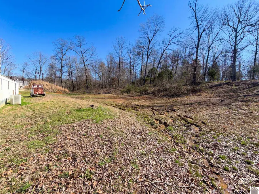 2346 Millers Chapel Rd, Mayfield, KY 42066 - #3