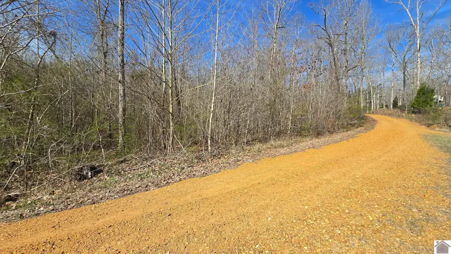 000 Mcclain Drive, New Concord, KY 42076 - #2