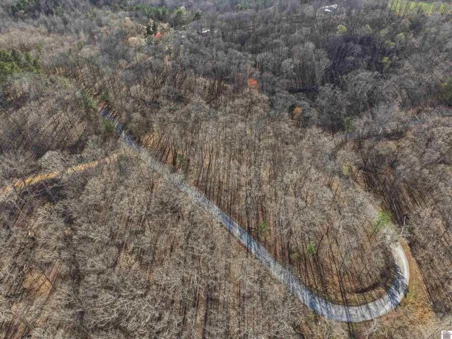 00 Breezewood Drive, New Concord, KY 42076 - #2