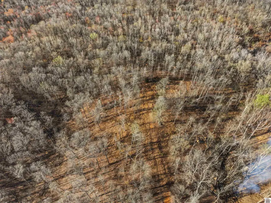 00 Red Oak Lane, New Concord, KY 42076 - #3