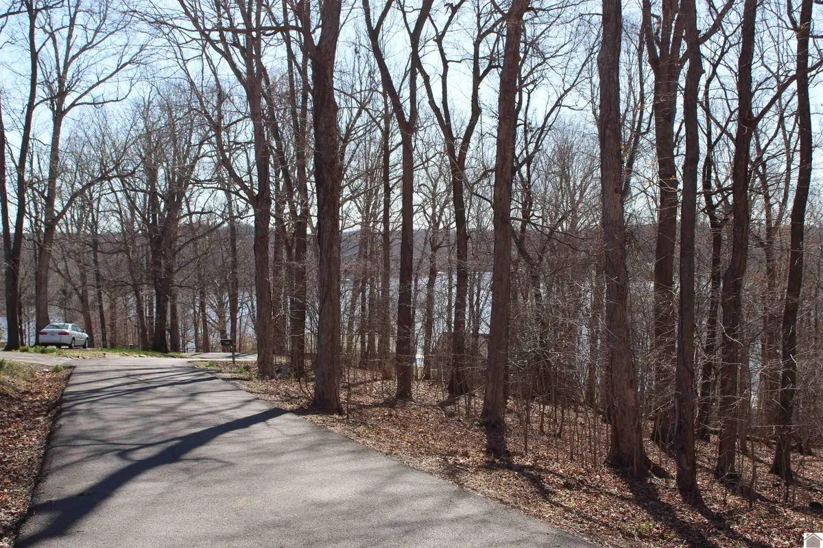 Lot 42/43 Lisanby Road, Eddyville, KY 42038 - #1