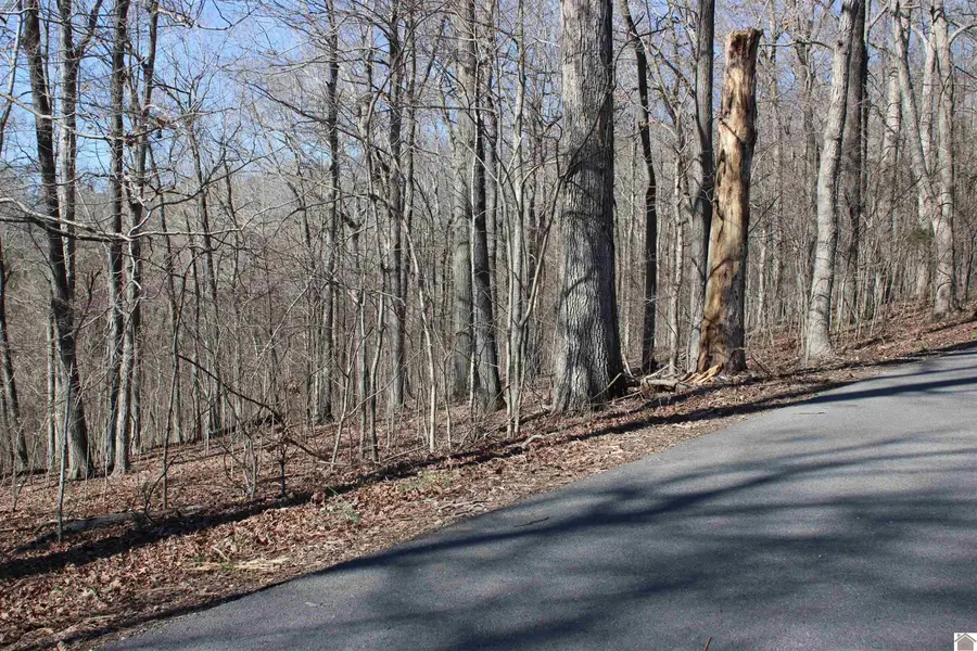 Lot 42/43 Lisanby Road, Eddyville, KY 42038 - #2