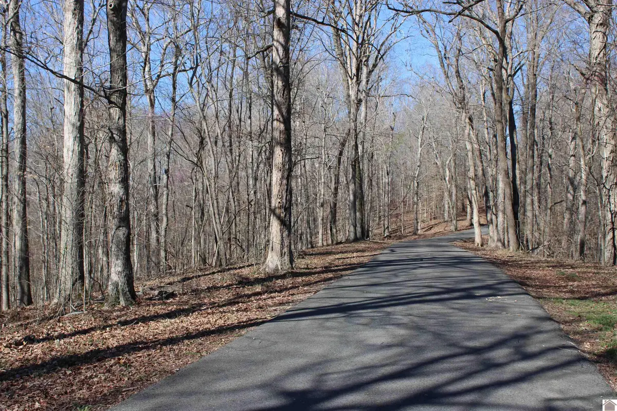 Lot 44/45 Lisanby Road, Eddyville, KY 42038 - #1