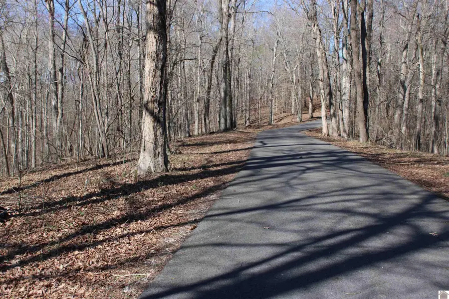 Lot 44/45 Lisanby Road, Eddyville, KY 42038 - #3