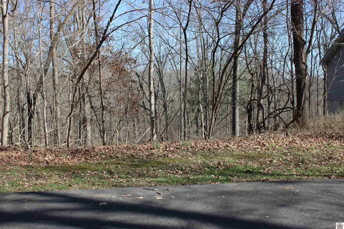 Lot 54/55 Lisanby Road, Eddyville, KY 42038 - #1