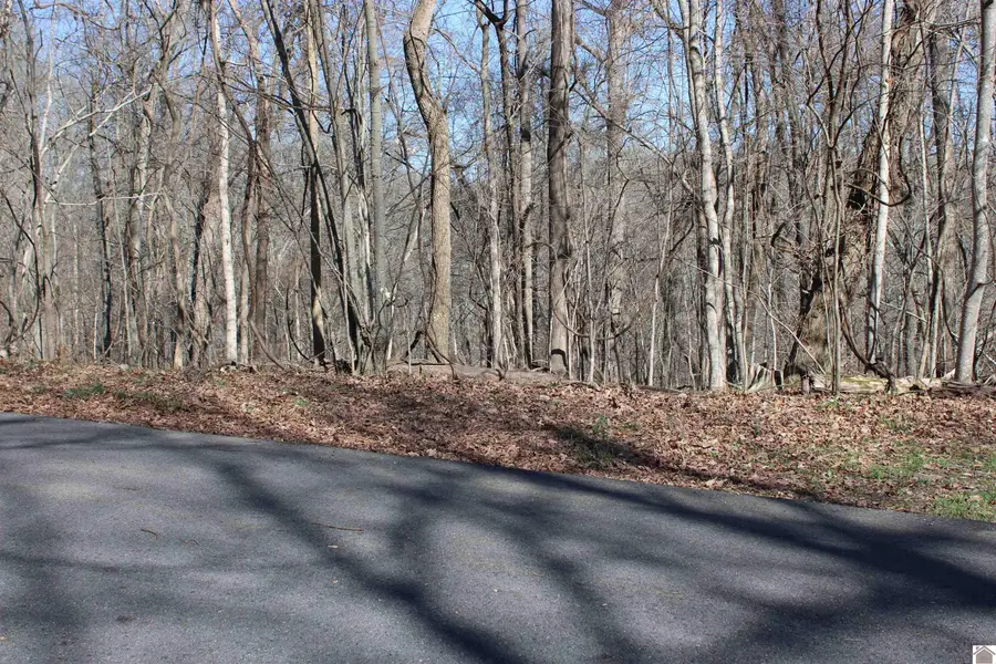 Lot 54/55 Lisanby Road, Eddyville, KY 42038 - #3