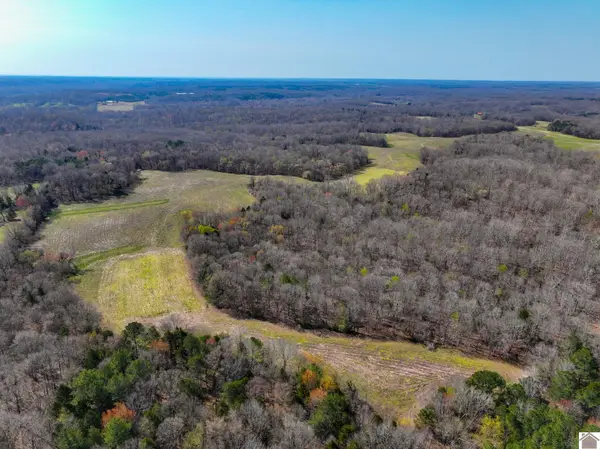 000 Croaker Lane, Hazel, KY 42049