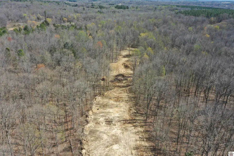 800 Workman Cemetery Rd, Dukedom, TN 38226 - #2