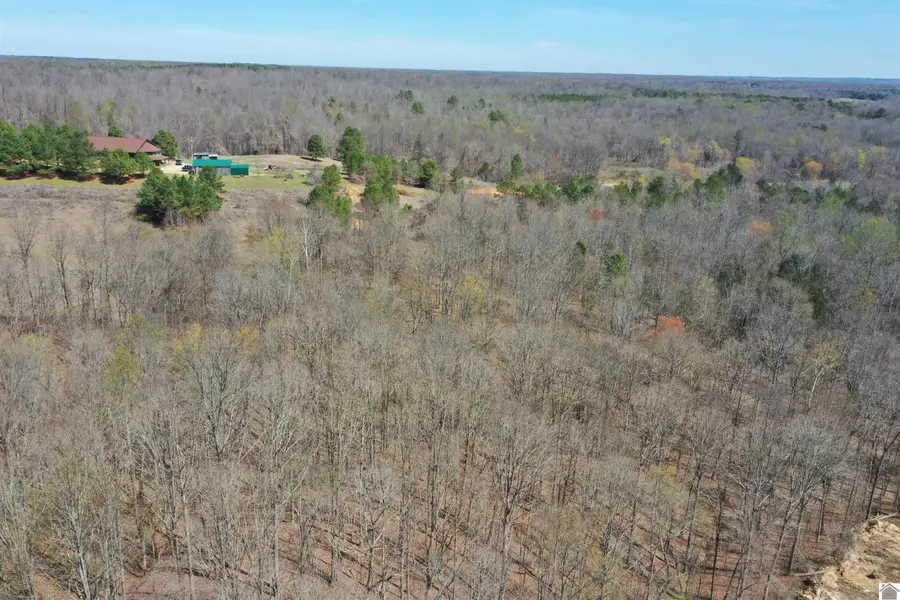 800 Workman Cemetery Rd, Dukedom, TN 38226 - #3