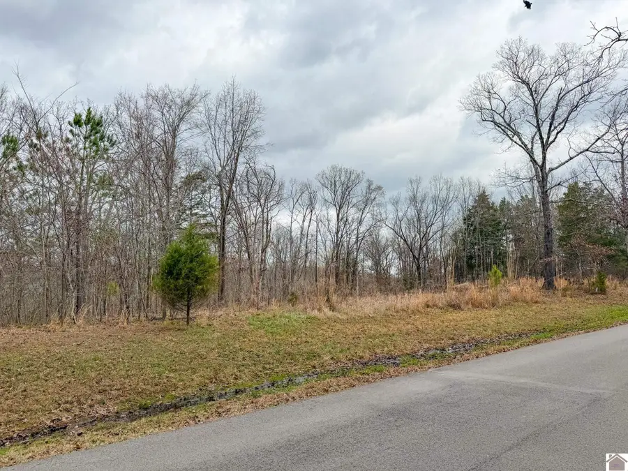 Haynes Cemetery Road, Murray, KY 42071 - #2