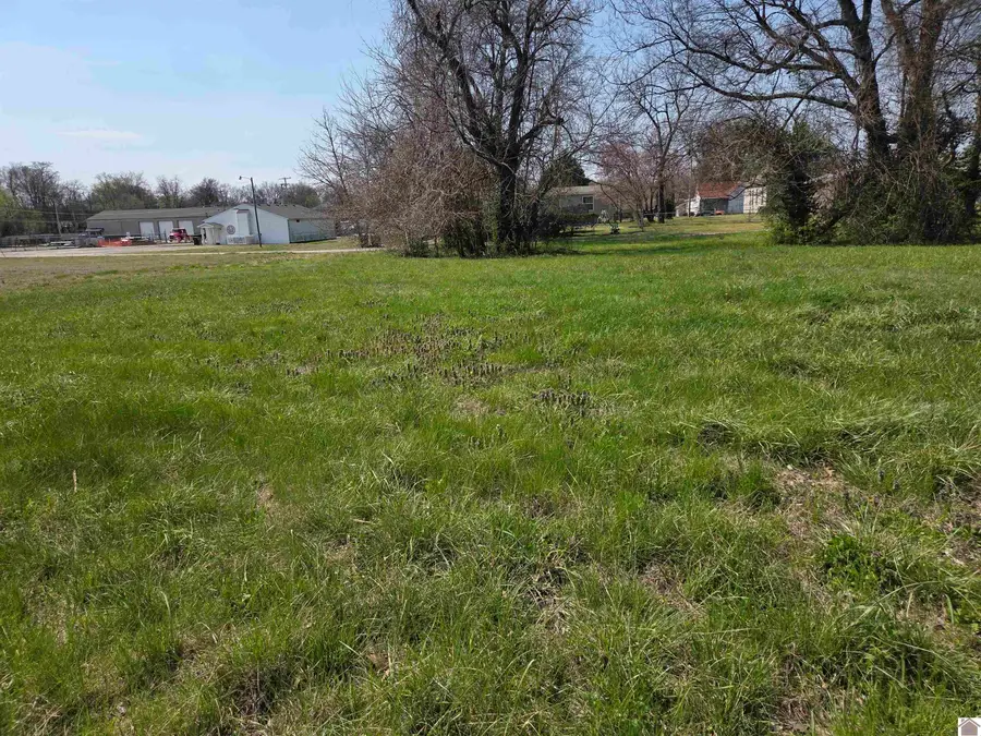 1133 S 3rd Street, Paducah, KY 42003 - #2