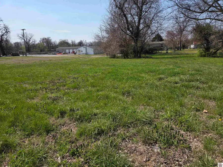 1133 S 3rd Street, Paducah, KY 42003 - #3