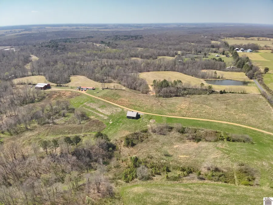 181 Wilson Hill Rd, Fancy Farm, KY 42066 - #2