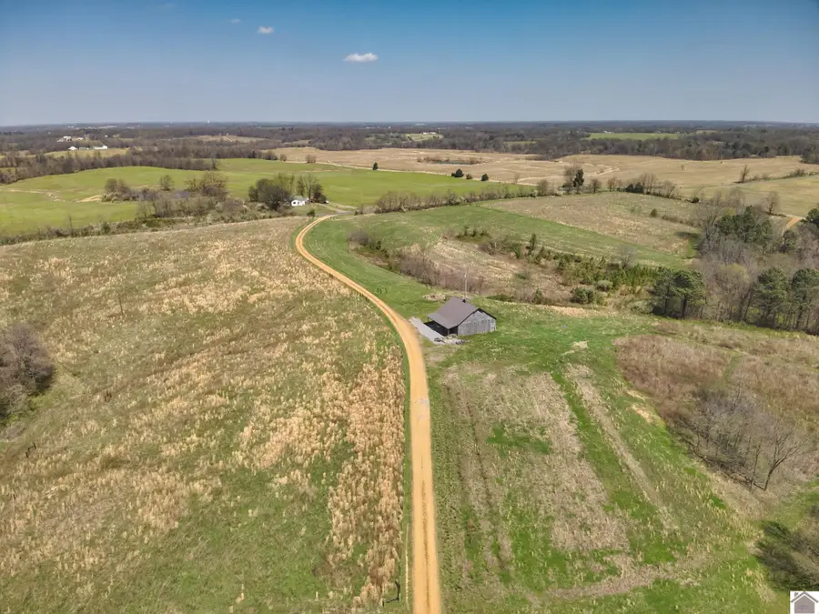 181 Wilson Hill Rd, Fancy Farm, KY 42066 - #3