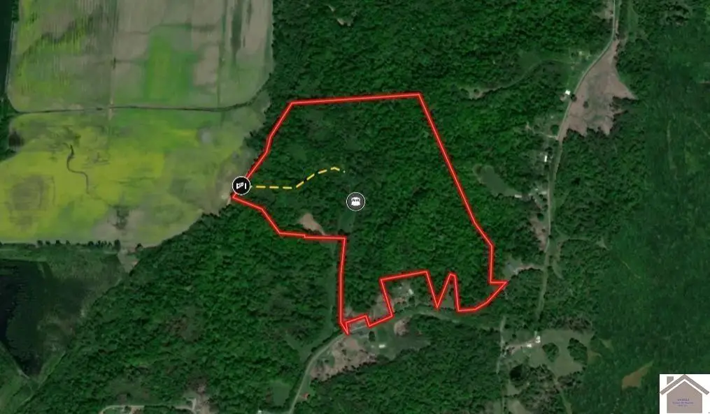 000 Bluff, Hickman, KY 42050 - #1