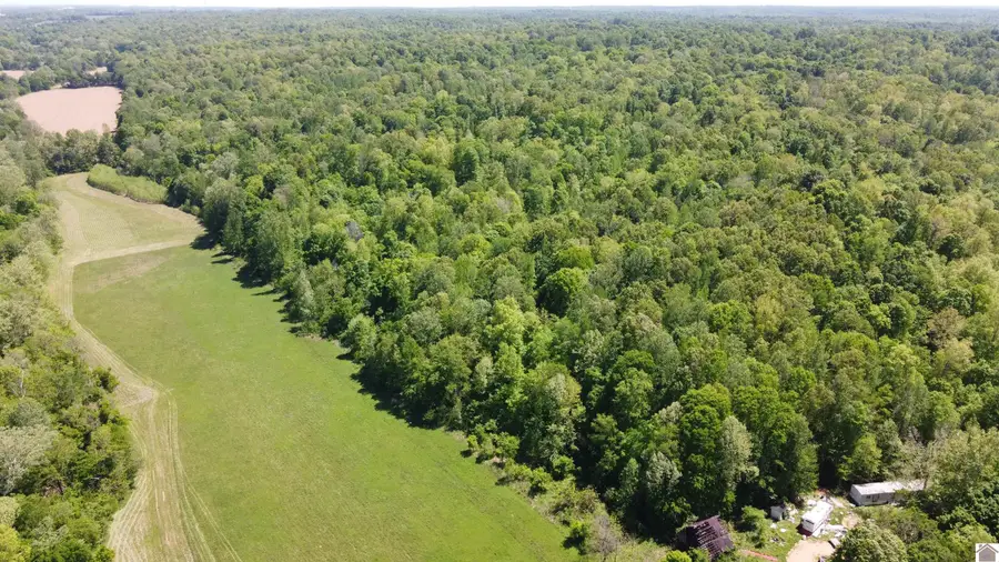 1012 Friendship Road, Eddyville, KY 42038 - #3