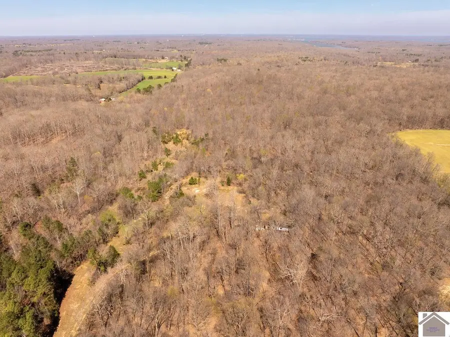 206 Stonebrook Ln, Benton, KY 42025 - #3