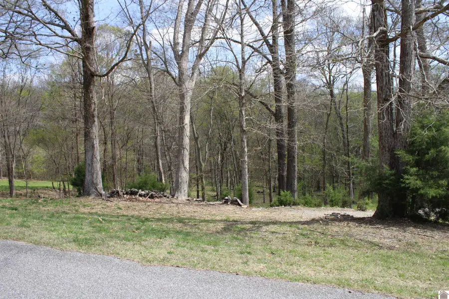 Lot 73 & 74 Rolling Mill, Eddyville, KY 42038 - #3