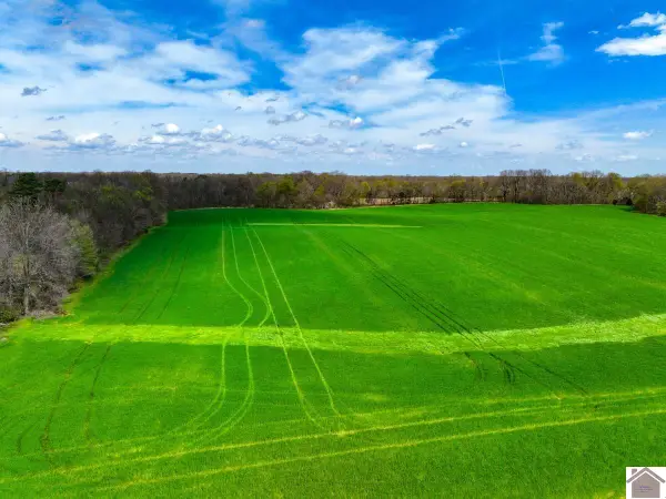 000 Carlton Road, Murray, KY 42071