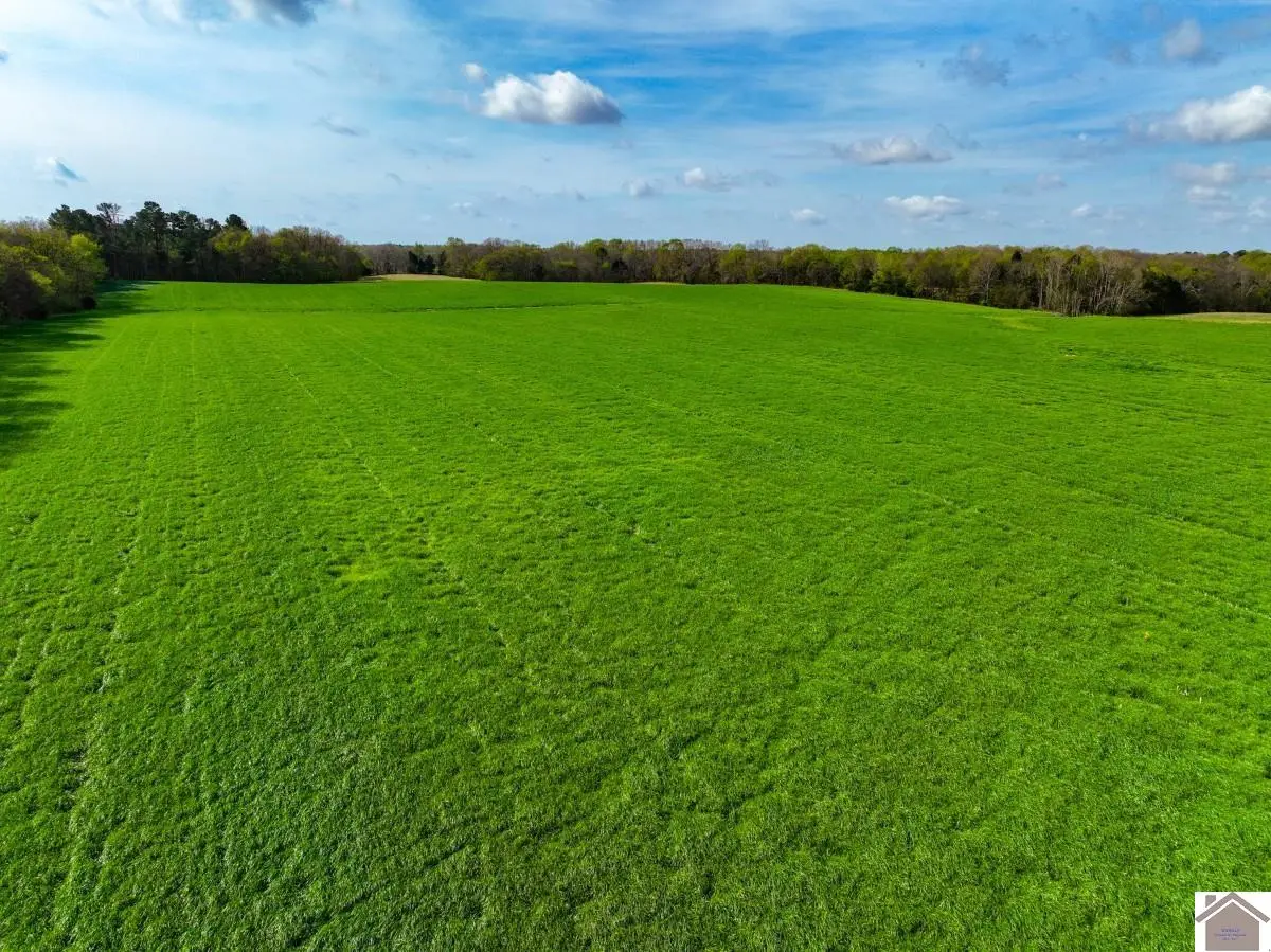 000 Cherry Corner Rd, Murray, KY 42071 - #1