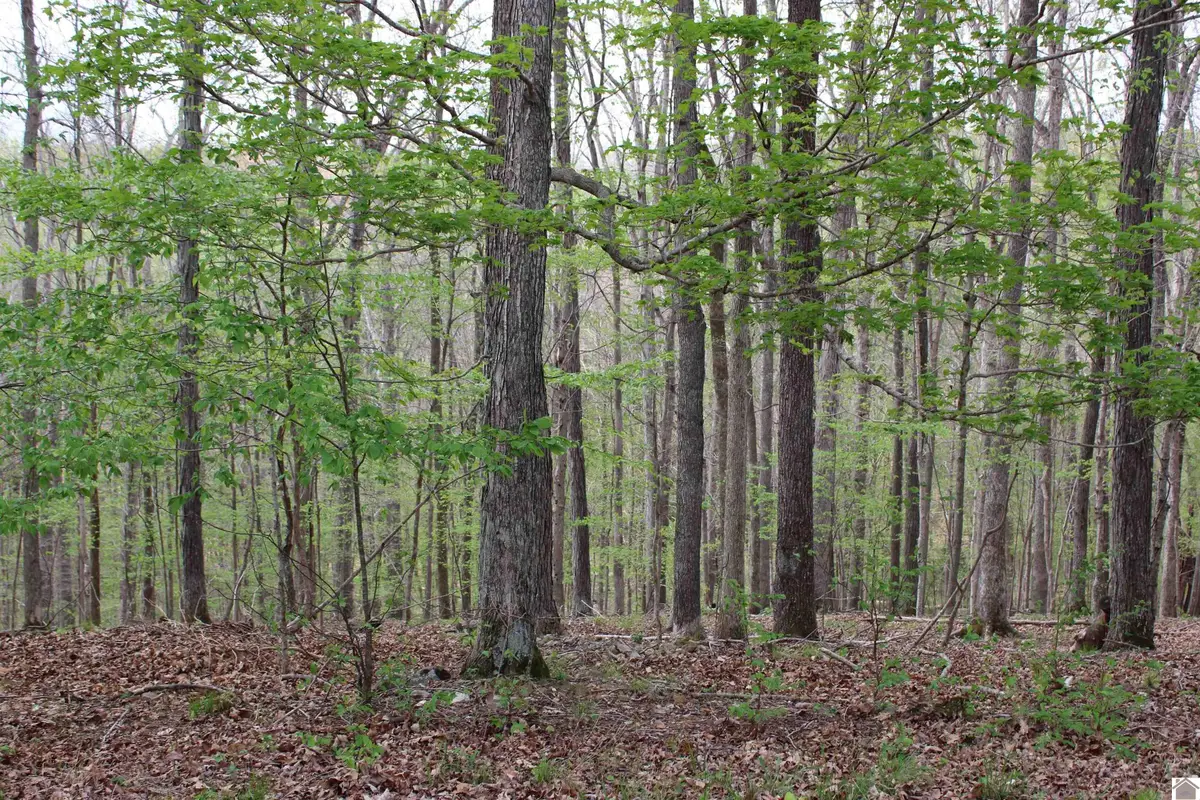 Lot 80 Lisanby Road, Eddyville, KY 42038 - #1
