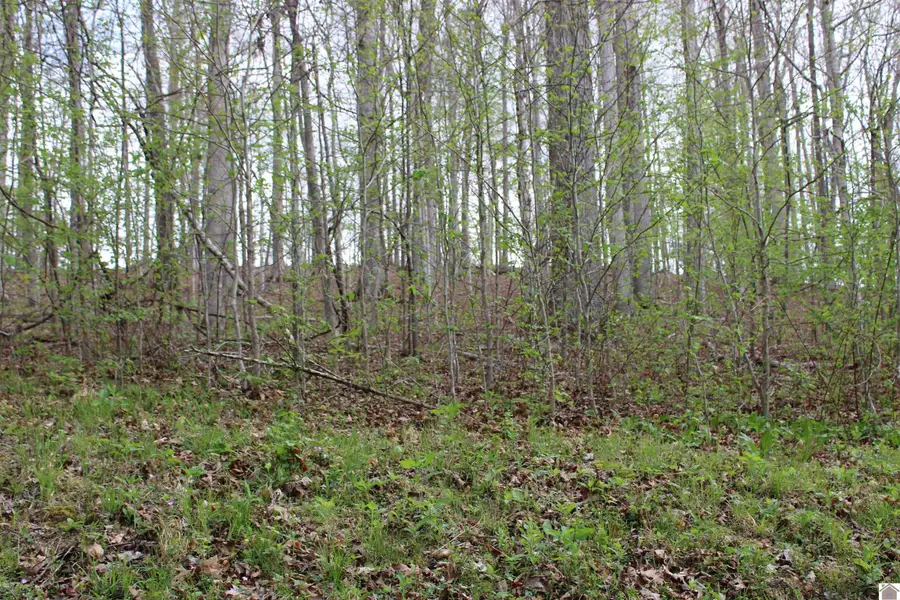 Lot 80 Lisanby Road, Eddyville, KY 42038 - #2