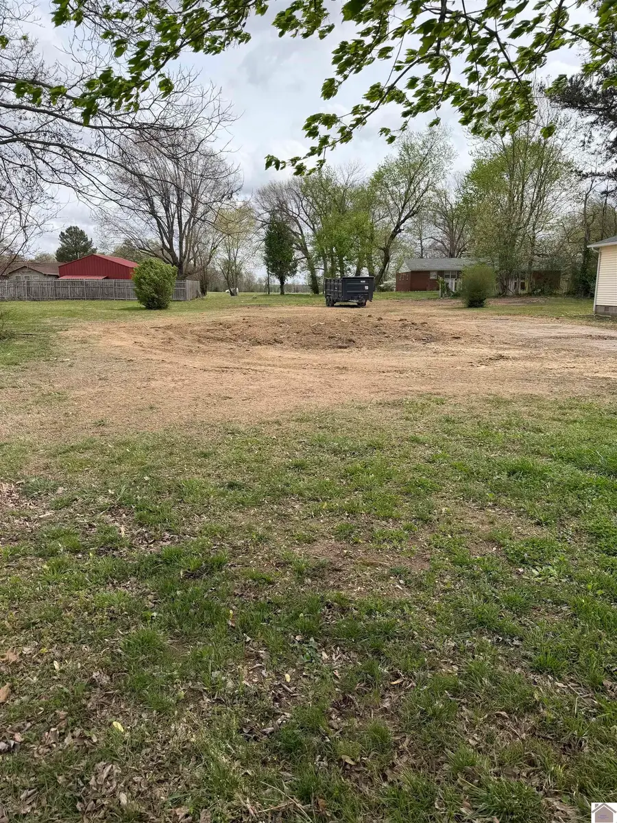 698 Olive Street, La Center, KY 42056 - #2