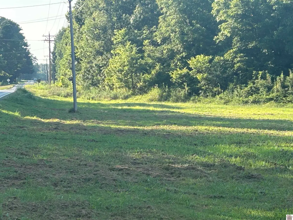 00 Murray Hwy, Hardin, KY 42048 - #1