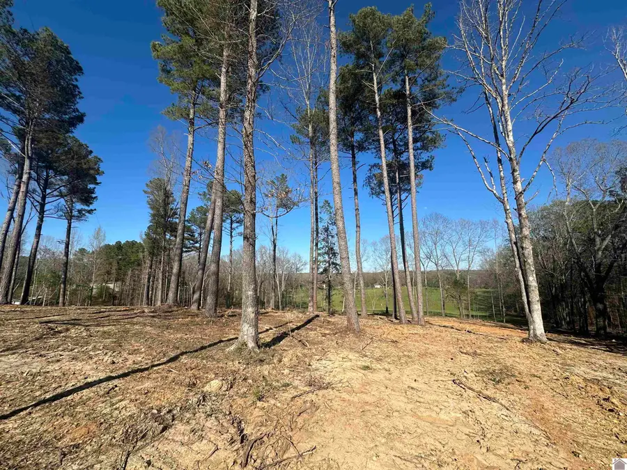 00 Beechy Creek Ln, Murray, KY 42071 - #2