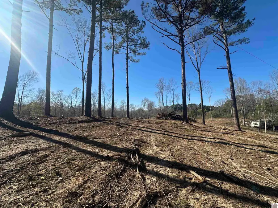 00 Beechy Creek Ln, Murray, KY 42071 - #3