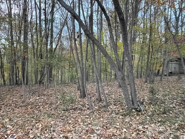 Lot 65 Barkley Shores, Cadiz, KY 42211