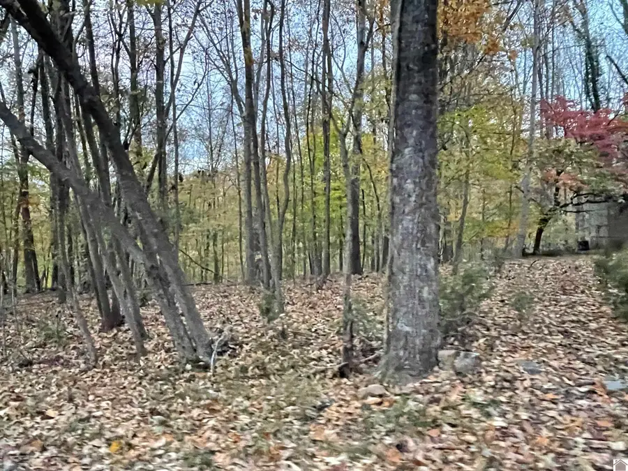 Lot 65 Barkley Shores, Cadiz, KY 42211 - #2