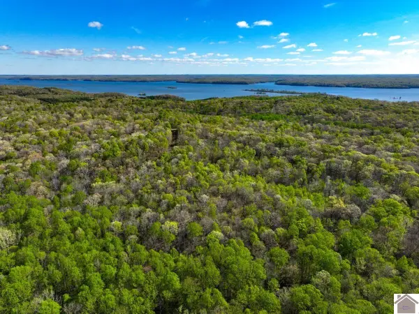 000 Bayview Court, New Concord, KY 42076