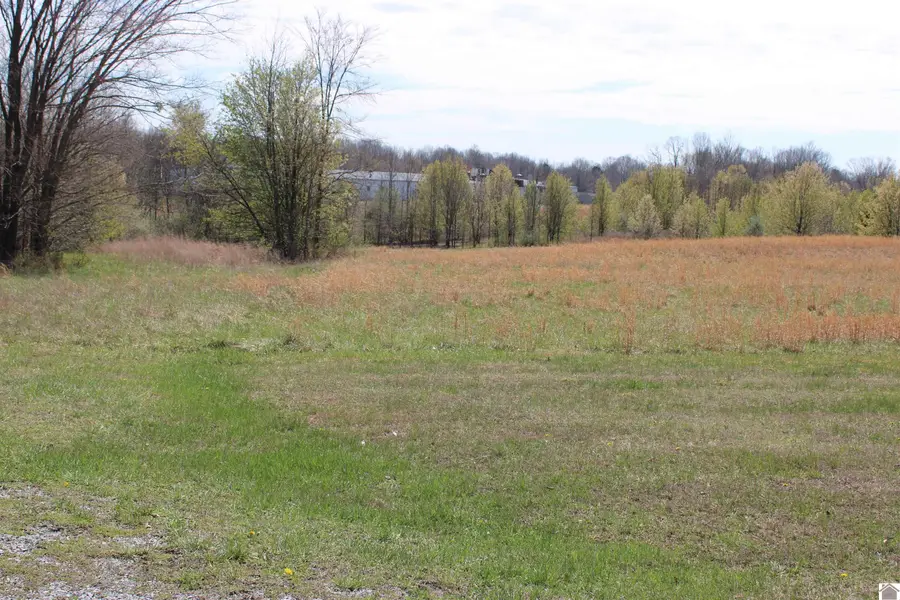 000 Beech Street, Kuttawa, KY 42055 - #2