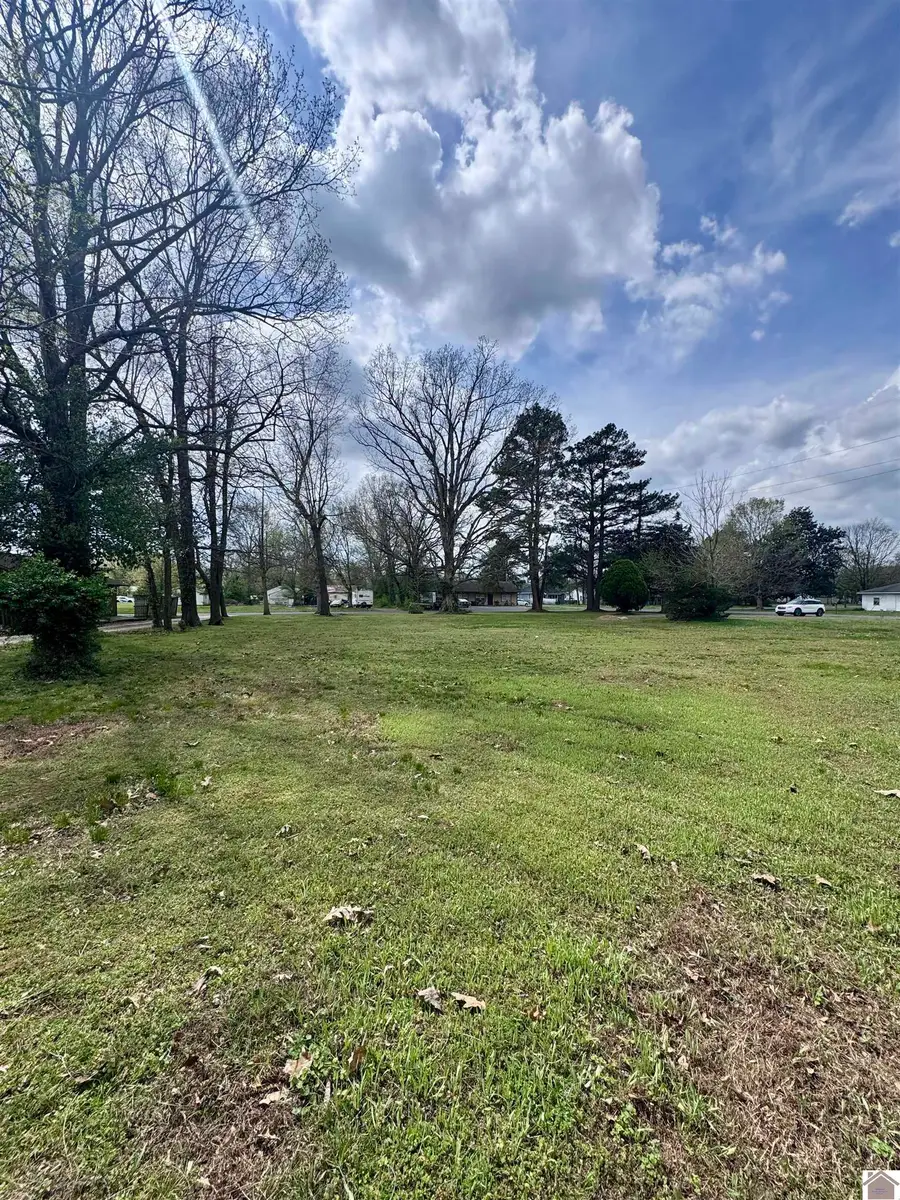 1011 S 30th Street, Paducah, KY 42003 - #3